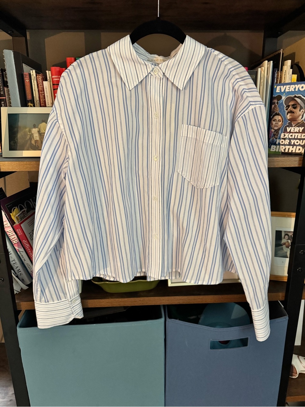 Ramy Brook Blue & White Striped Button-Down Shirt